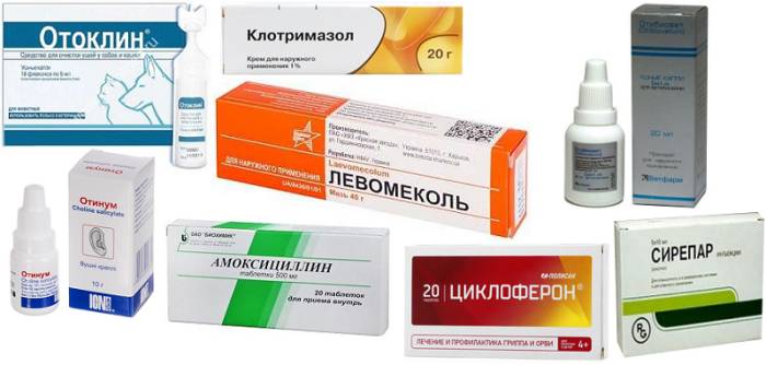 Препараты от отита для собак