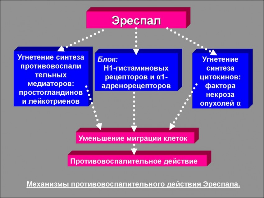 Эреспал: инструкция по применению, назначение, противопоказания и рекомендации по использованию (95 фото)