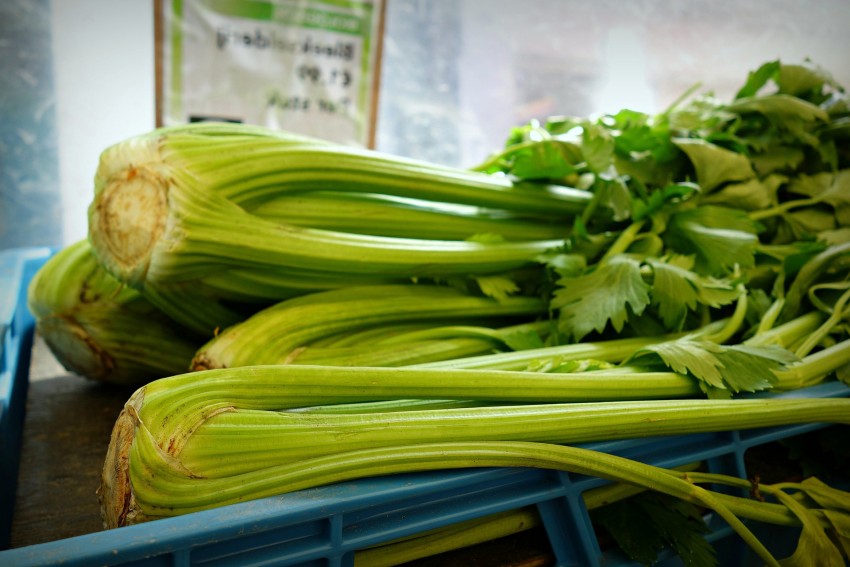 Крем от прыщей: ТОП-3 лучших средств и сравнение их эффективности. Советы дерматологов как избавиться от прыщей (125 фото)