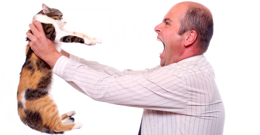 Лишай на лице - виды, причины, симптомы, лечение и профилактика. 115 фото и видео проявления болезни