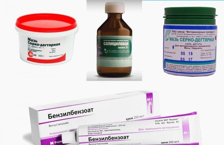 Лишай на лице - виды, причины, симптомы, лечение и профилактика. 115 фото и видео проявления болезни