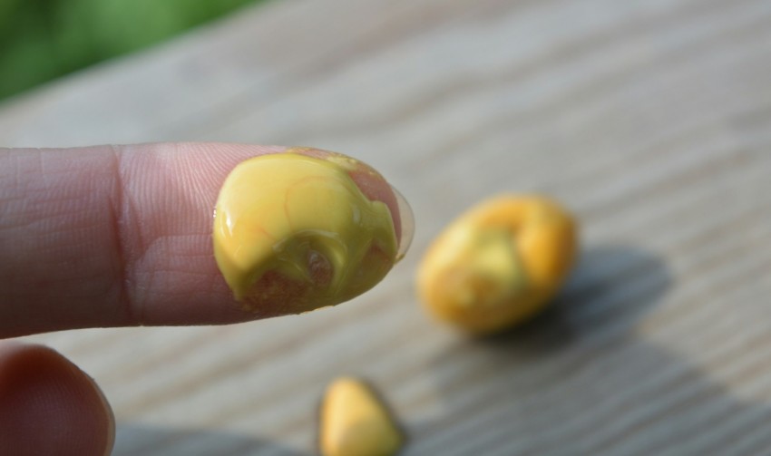 Макмирор: инструкция по применению комплекса, аналоги, показания к назначению, цены и отзывы (125 фото и видео)