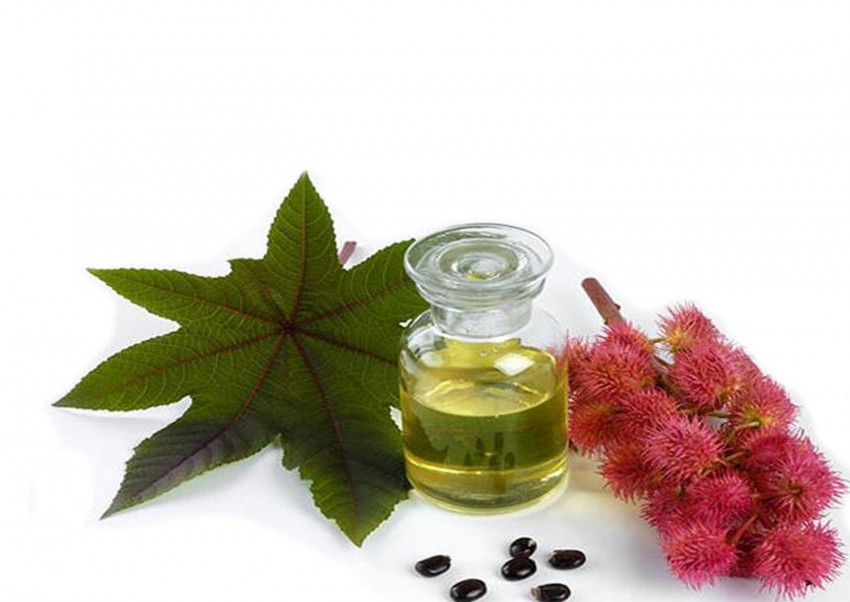 Масло от прыщей - советы по выбору, способы и эффективность применения. Отзывы потребителей и экспертов (125 фото и видео)