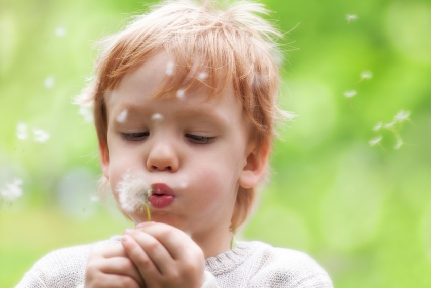 Симптомы аллергии - первые проявления, причины аллергии, прием препаратов широкого спектра действия и узконаправленное лечение (120 фото)