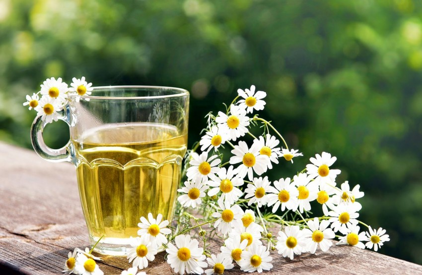 Высыпали прыщи: поиск причины, выбор средства для удаления, советы и лучшие средства по уходу за кожей (70 фото)