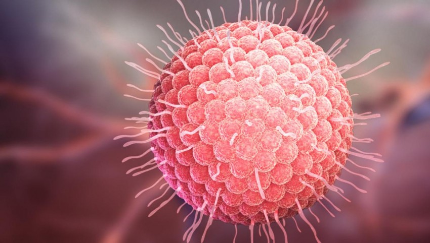 Ветрянка у взрослых: 140 фото, основные симптомы, первые признаки и этапы лечения